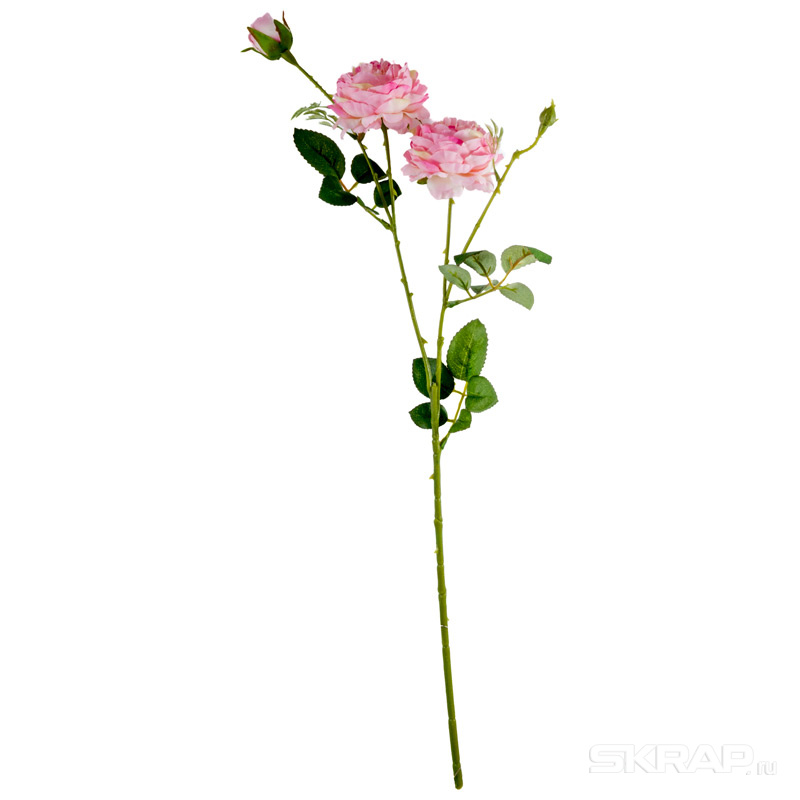 004072