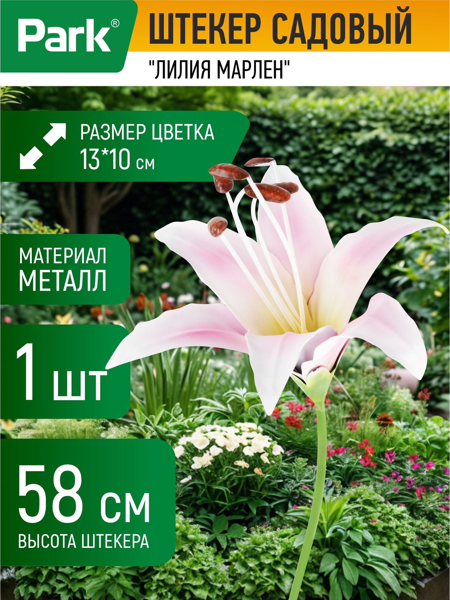 108844_MP_1