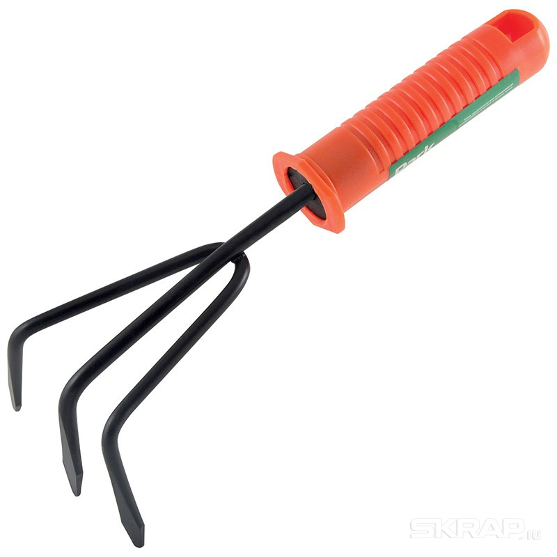 270209