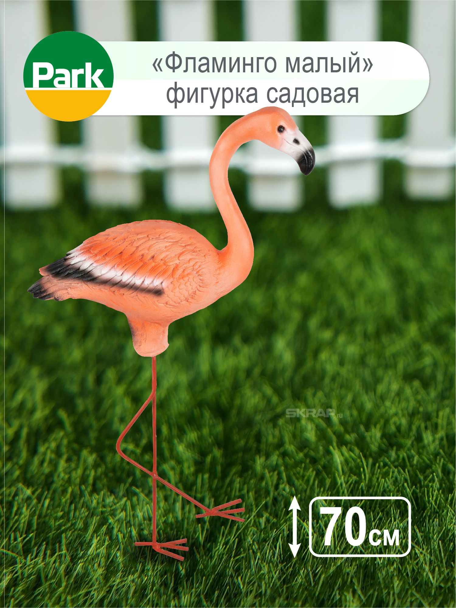 169404_MP_1