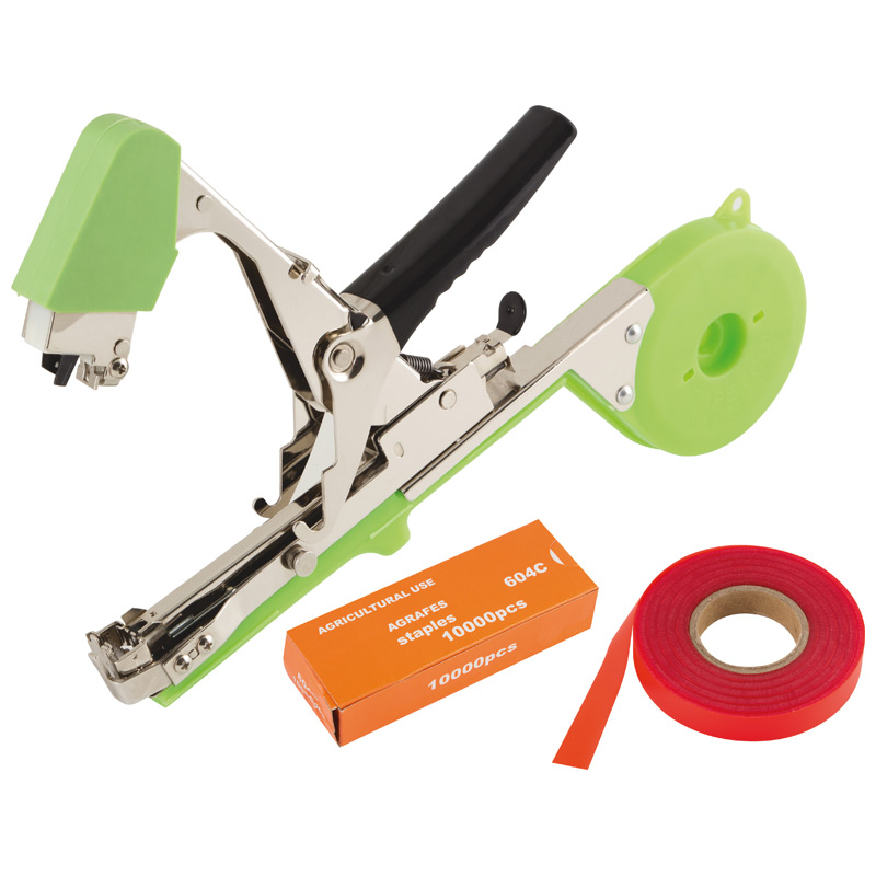 006395