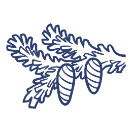 Гирлянды хвойные и композиции