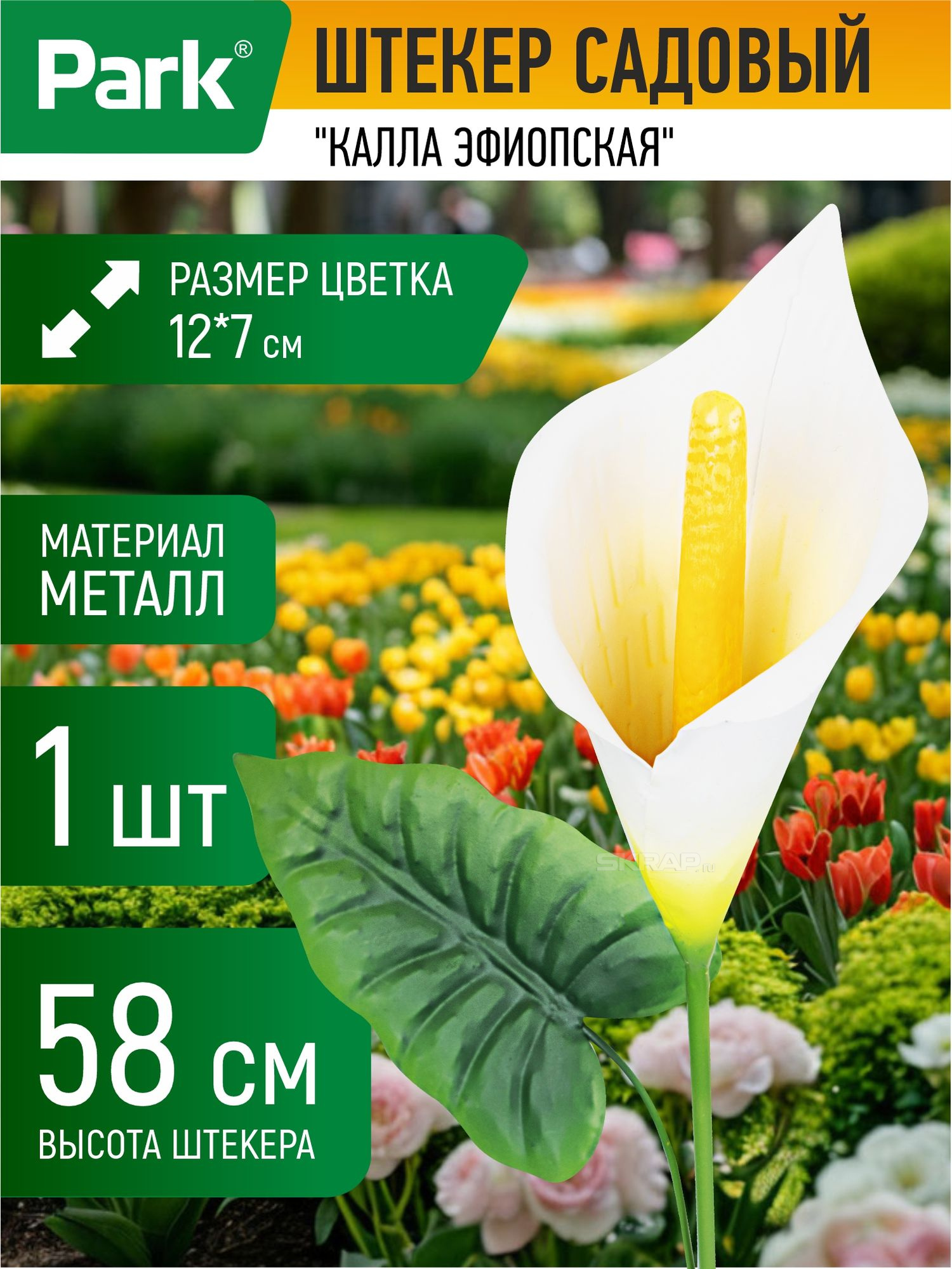108839_MP_1