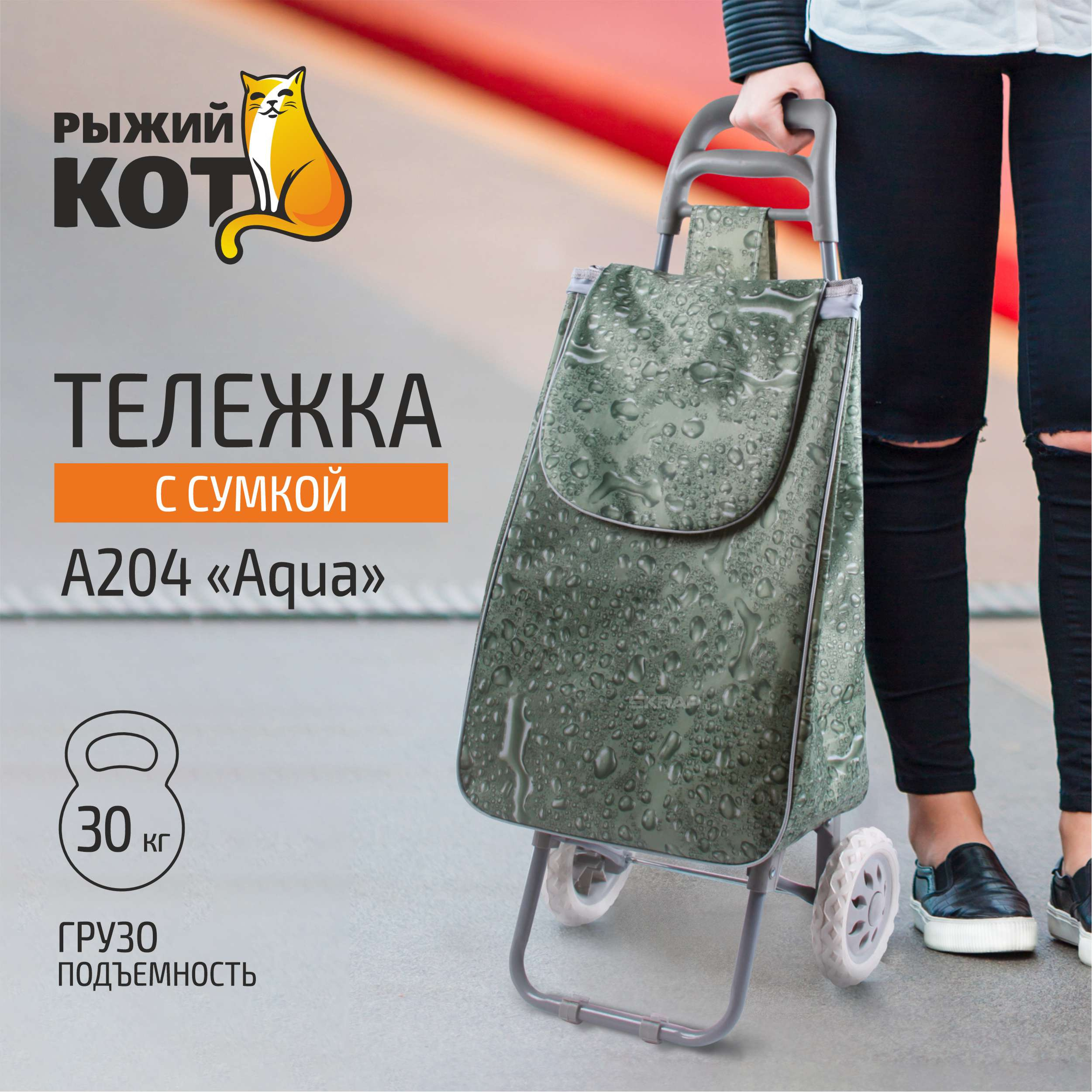 002247_MP_1