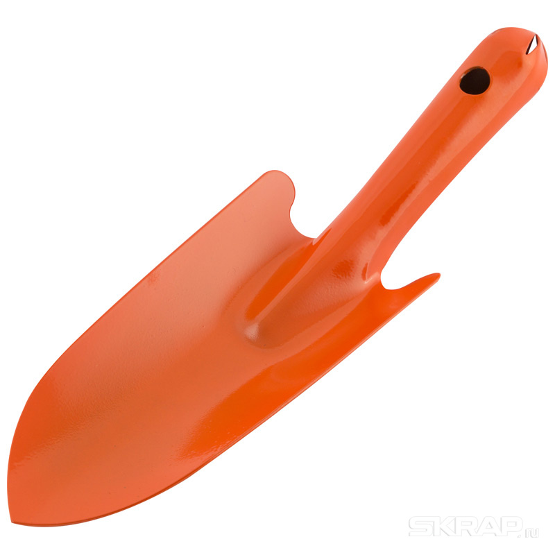 006405