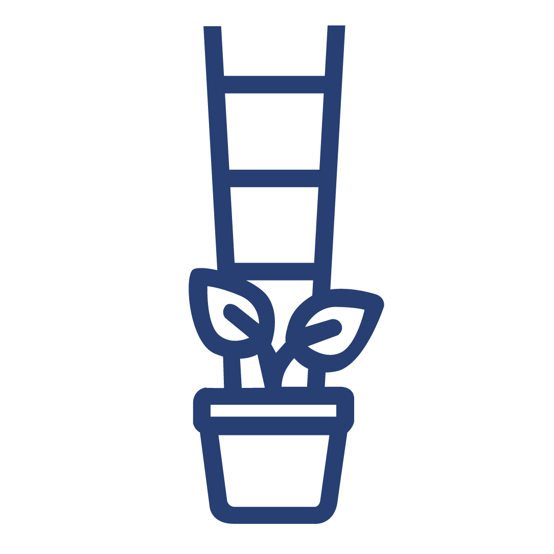 3,02. Шпалеры комнатные маленькие