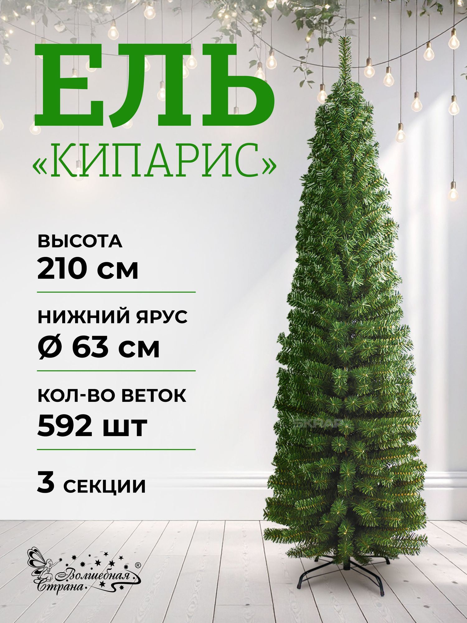 103117_MP_1