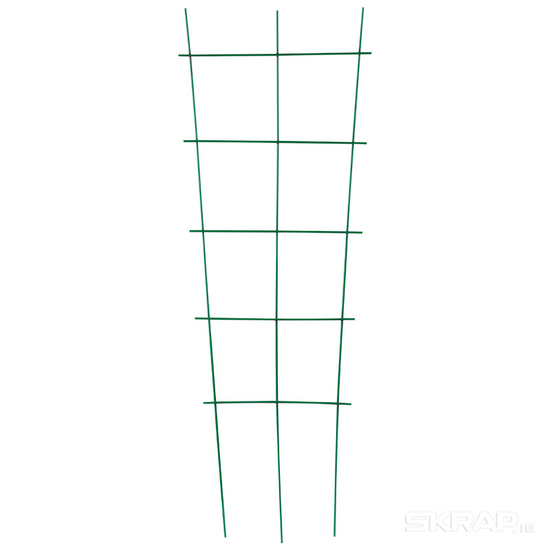 520049
