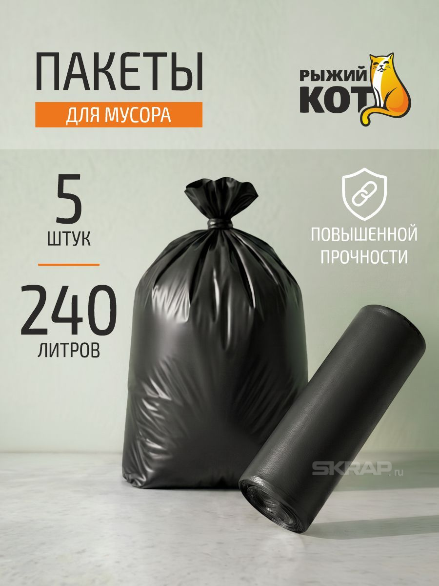 310421_MP_1