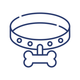 Ошейники, поводки