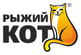 Рыжий кот
